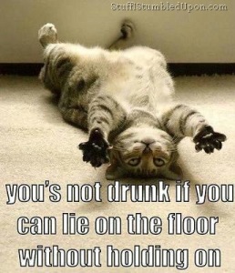 How-to-test-if-Youre-drunk-meme-cat-kitty-kitten